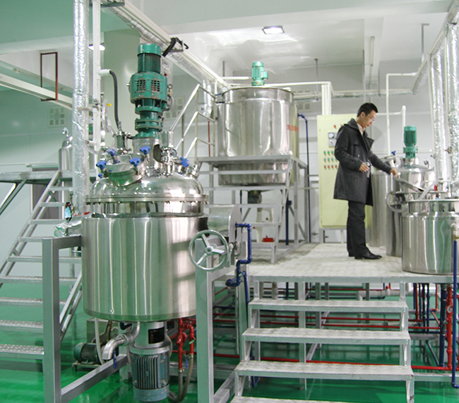 FDF600B-2 Liquid Detergent Production Line